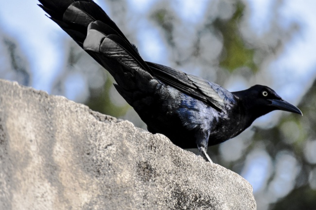foto:Jennyfer Alejandra Olascoaga Galindo  - lo hecho en México