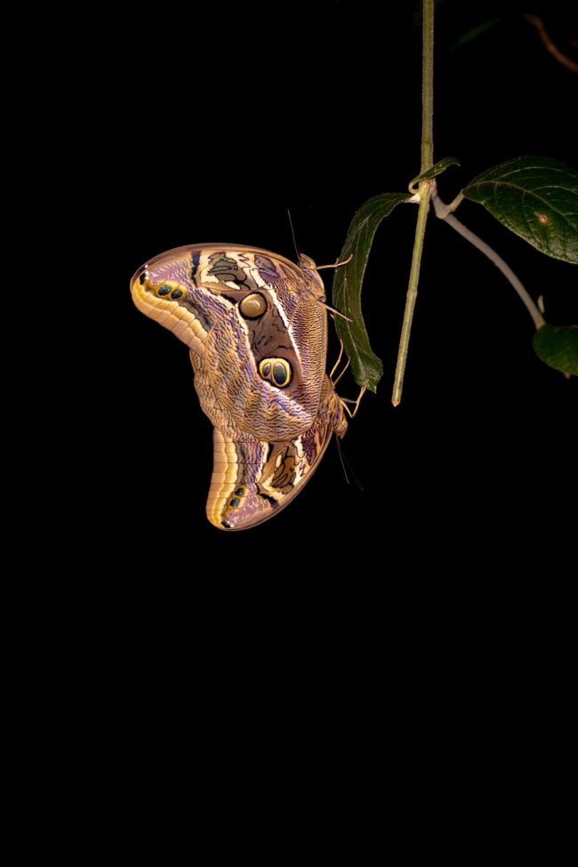 foto:Lorenzo javier Márquez garay  - lo hecho en México