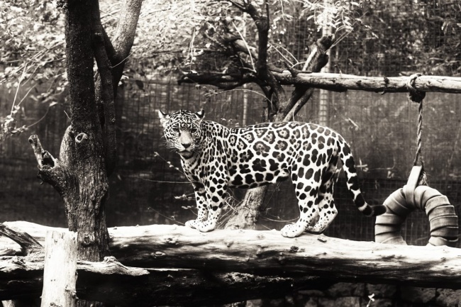 foto:Alejandro Luna Jara  - lo hecho en México