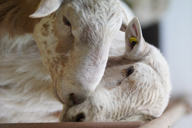 foto:Melissa Saucedo Rascon   - lo hecho en México