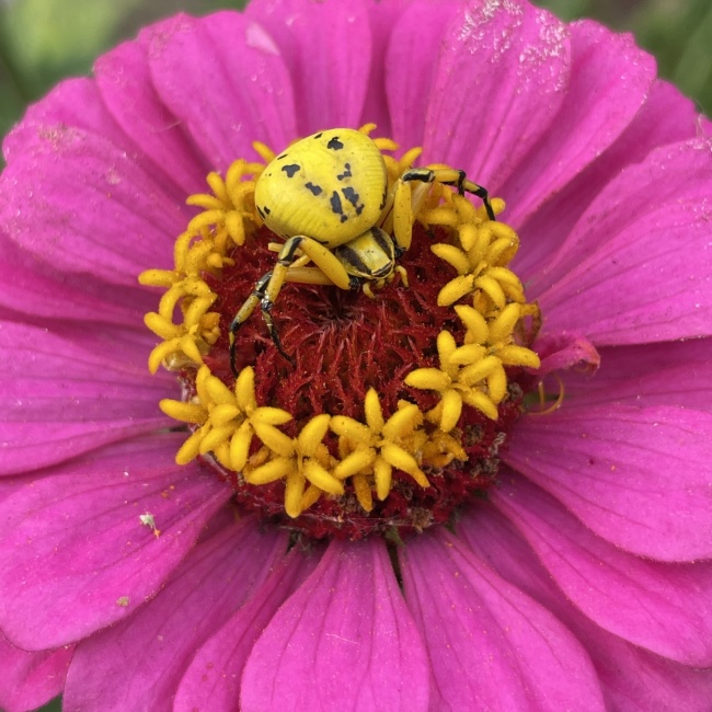 foto:Hugo Israel Vázquez Elías   - lo hecho en México