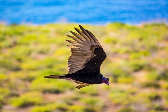 foto:Eder Martínez Castillo  - lo hecho en México
