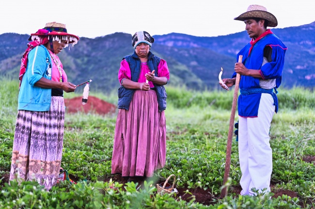 foto:Alejandro Acosta   - lo hecho en México