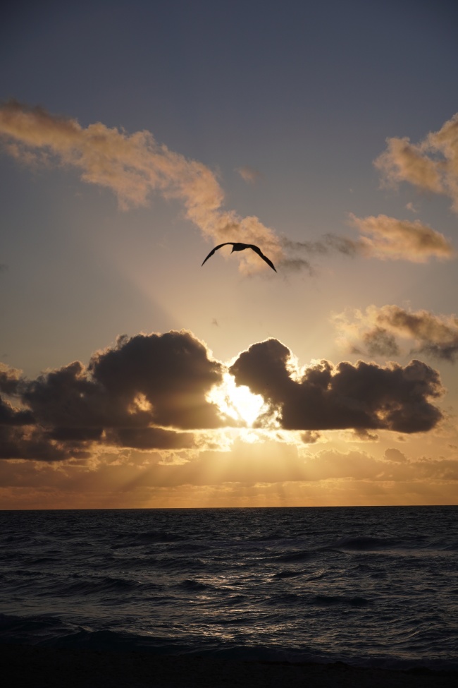 foto:Carolina Bermudez Roldan  - lo hecho en México