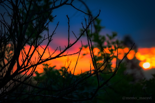 foto:Guillermo Macías Ávila   - lo hecho en México