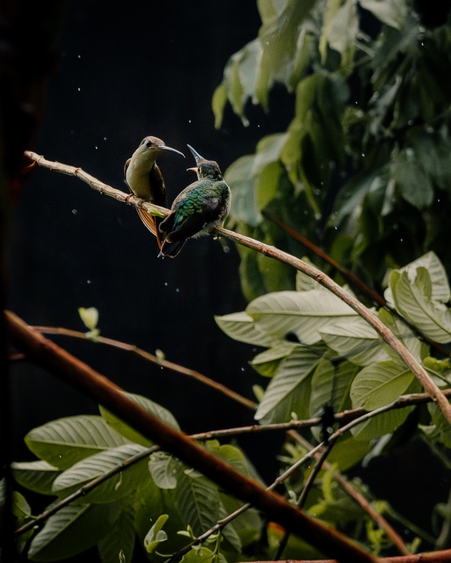 foto:José Luis Santos Montes de Oca  - lo hecho en México