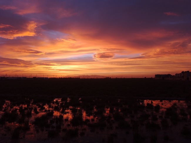 foto:Rodrigo de Vivar Hernández Ramírez   - lo hecho en México