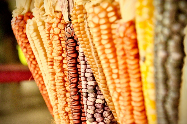 foto:Vladimir Pelcastre Campos   - lo hecho en México