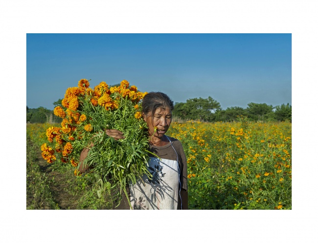 foto:Julio César Sánchez Sánchez   - lo hecho en México