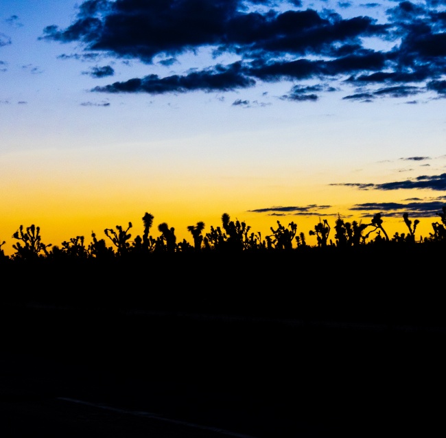 foto:Christian francisco Delgado Torres  - lo hecho en México