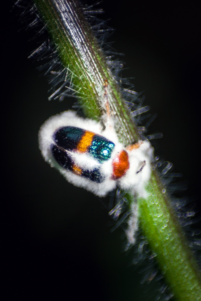 foto:Emmanuel Fernández López  - lo hecho en México