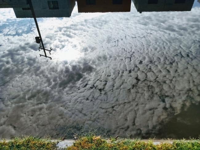 foto:Carlos Hugo de la Fuente Ferniza   - lo hecho en México