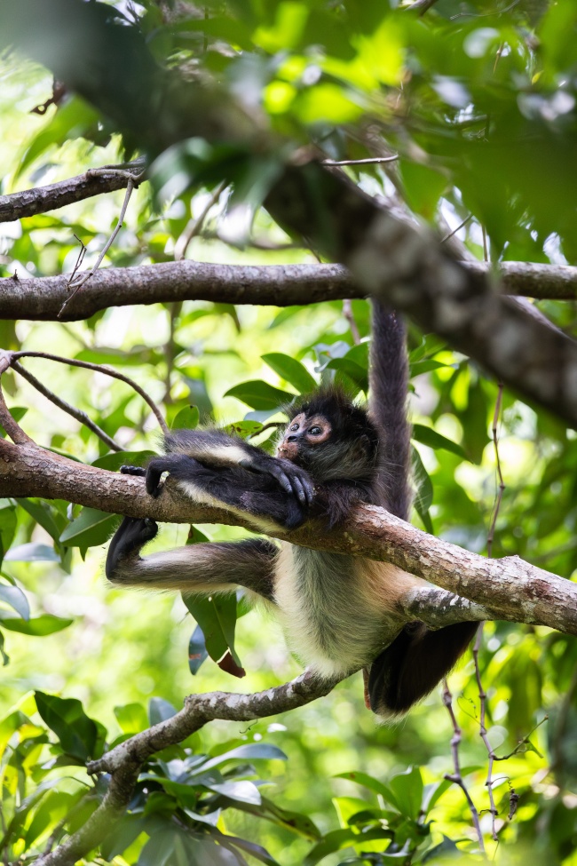 foto:Rafael  - lo hecho en México