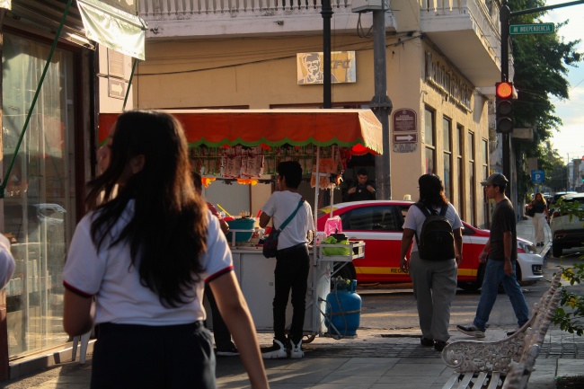 foto:Victoria Vicedas Merida   - lo hecho en México