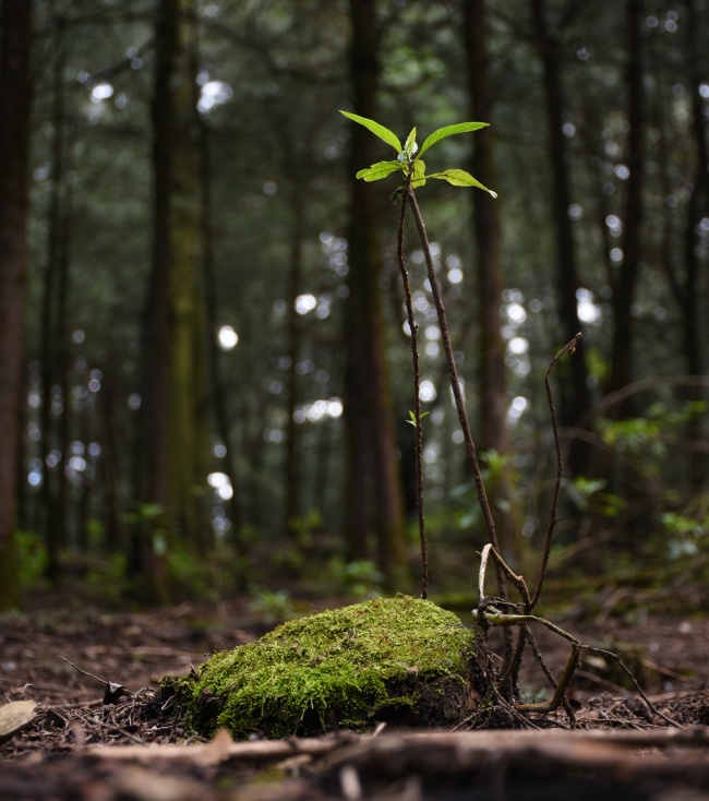 foto:Sofía María Ortega Alonso  - lo hecho en México