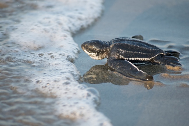 foto:Jenny Carmen Sánchez Aguirre   - lo hecho en México