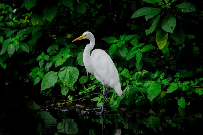 foto:Alejandro Serrano Esquivel  - lo hecho en México