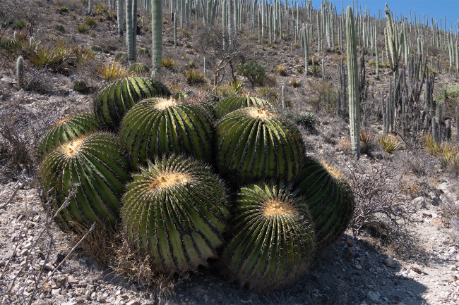 foto:Juan Montes Gámez  - lo hecho en México