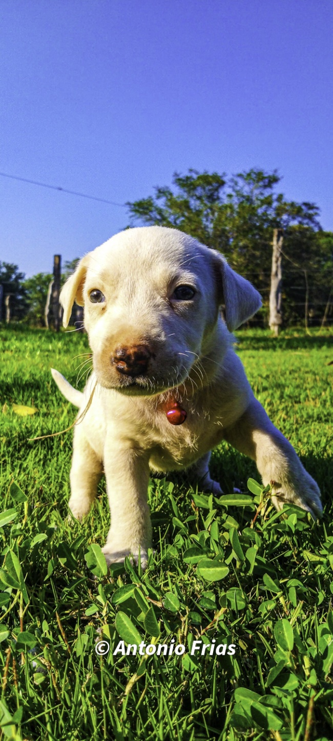 foto:Antonio Frías Frías  - lo hecho en México