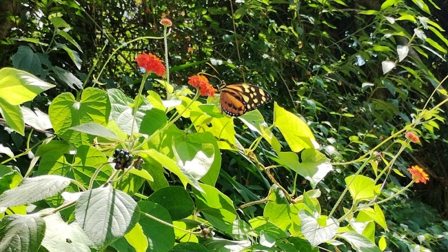 foto:Nancy Martinez Lujan   - lo hecho en México