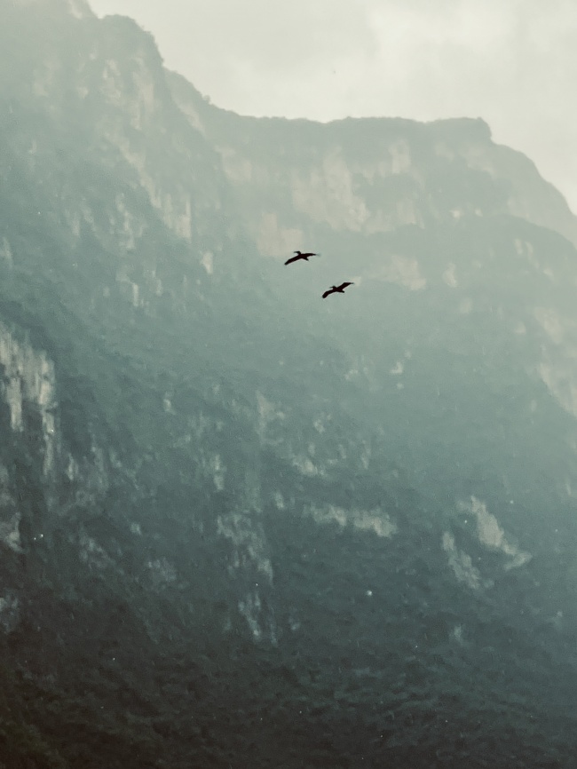 foto:David Alejandro  - lo hecho en México