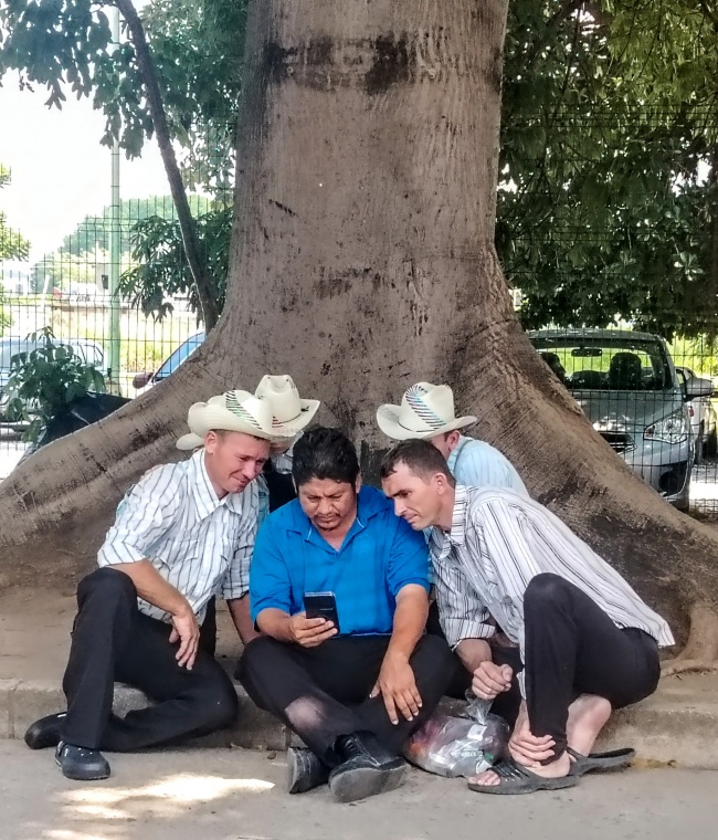 foto:Juan Carlos Sauza Aguilar   - lo hecho en México