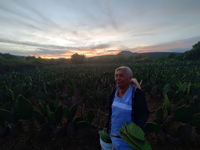 foto:Jesús Armando Pineda Morales   - lo hecho en México
