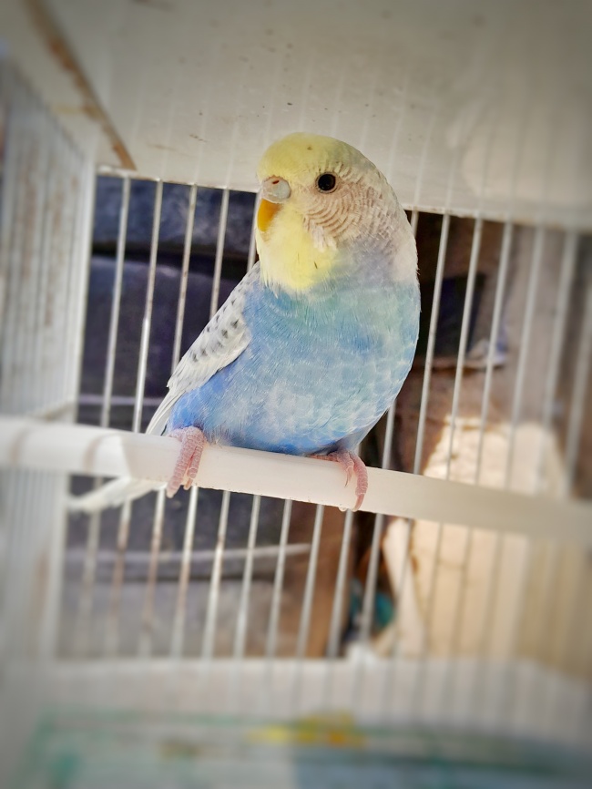 foto:Lorena Diaz Lara   - lo hecho en México