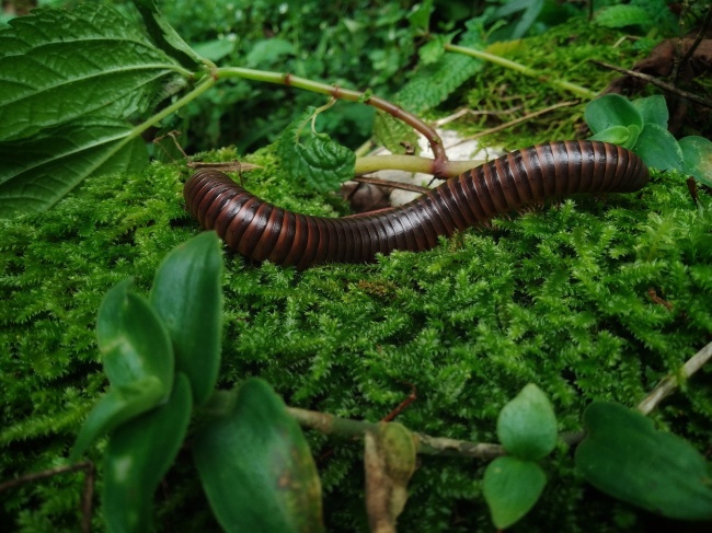 foto:Yessenia Olivares Guerra   - lo hecho en México