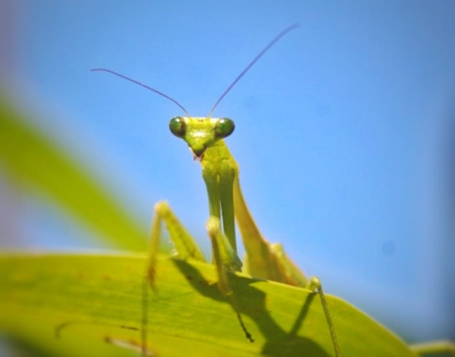 foto:María José Castañeda Vega  - lo hecho en México
