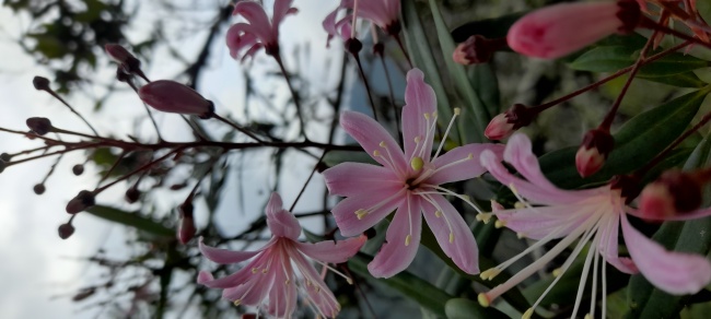 foto:Domingo Cano María Alejandra   - lo hecho en México