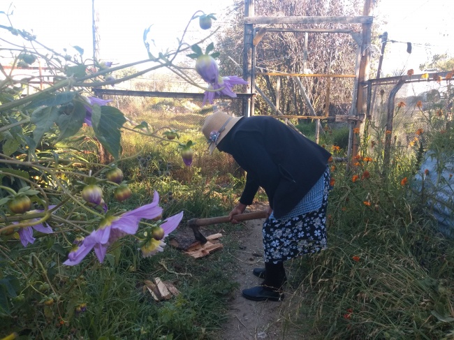 foto:Brenda Gonzalino Hernández   - lo hecho en México