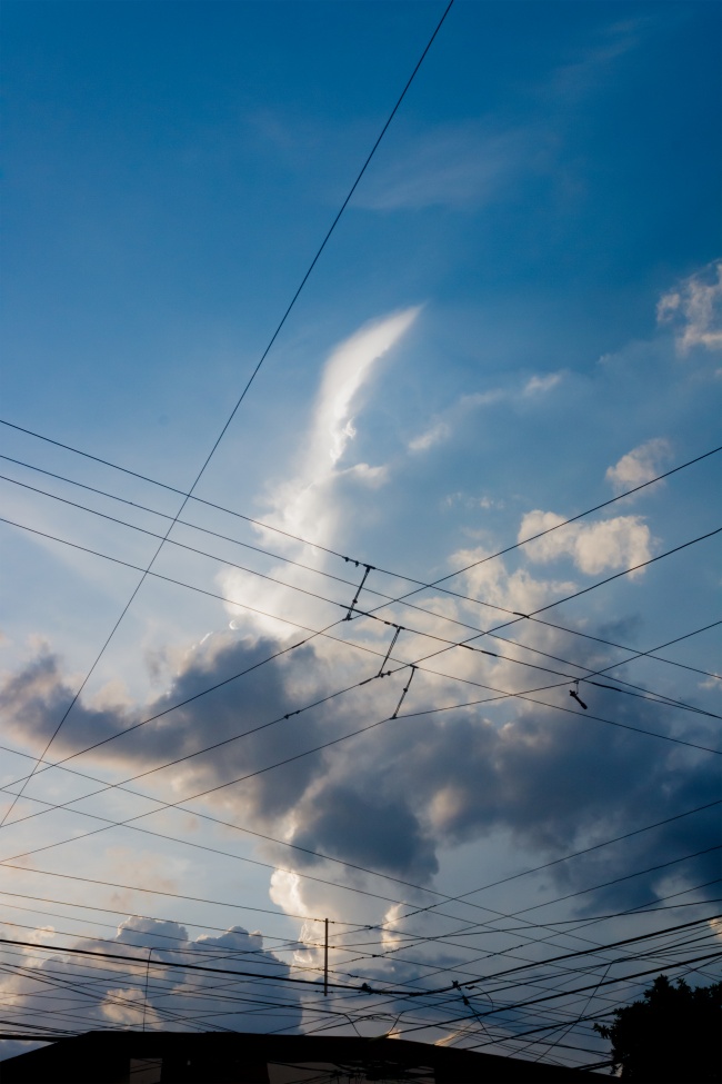 foto:Alberto Almanza Contreras  - lo hecho en México