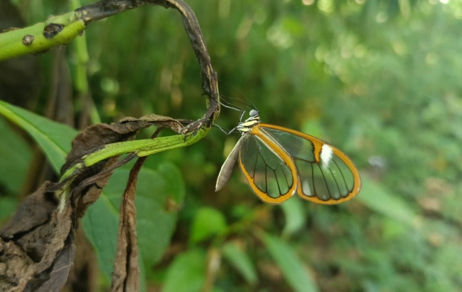 foto:Lázaro Ramírez Cristian de Jesús  - lo hecho en México