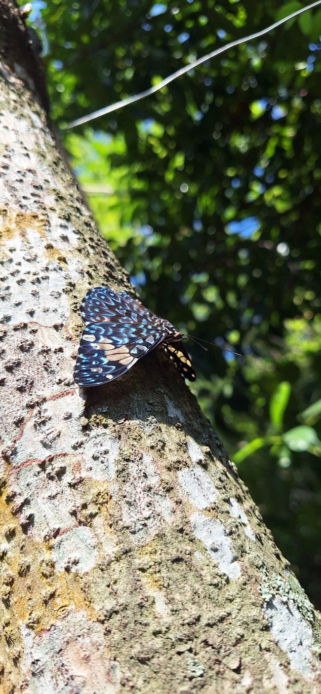 foto:ROCIO OLMOS SIMBRON  - lo hecho en México