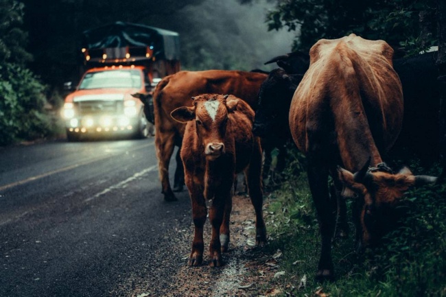 foto:Cesar armando ramirez espinosa  - lo hecho en México