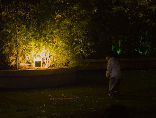 foto:Diego Gael Flores Gómez  - lo hecho en México