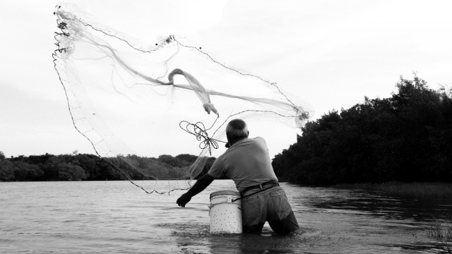 foto:Kevin Alan Palestina Gallegos  - lo hecho en México