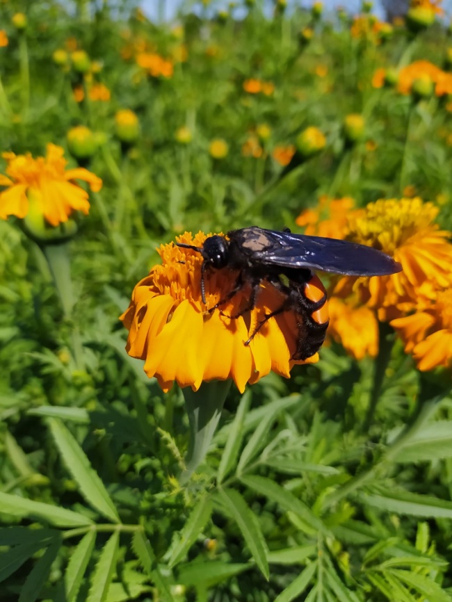 foto:Nathaly Diaz Avila  - lo hecho en México