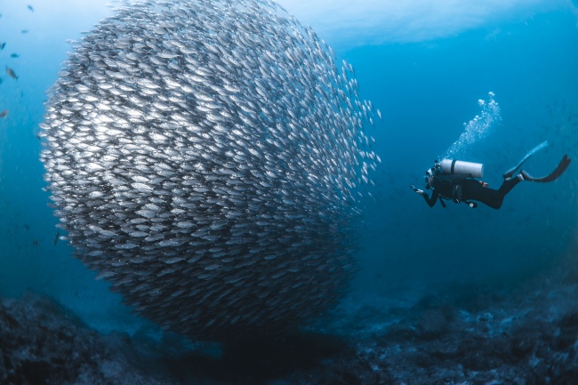 foto:Paola Ruffo Ruffo  - lo hecho en México