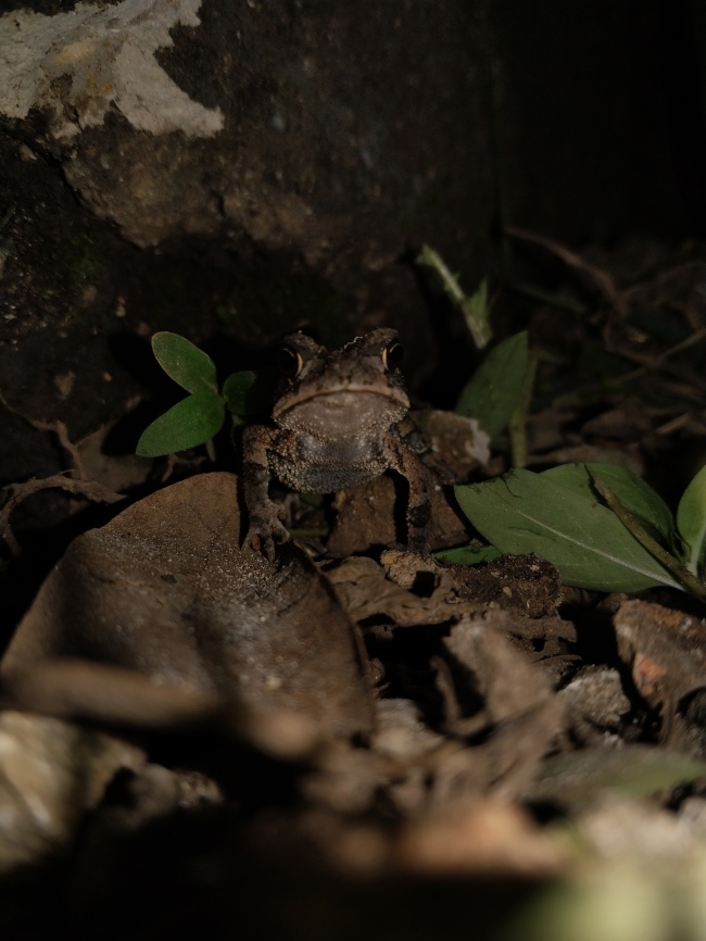 foto:Wendy Aracely Mex Nahuat  - lo hecho en México