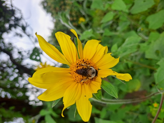 foto:Adrián Sánchez Pérez   - lo hecho en México