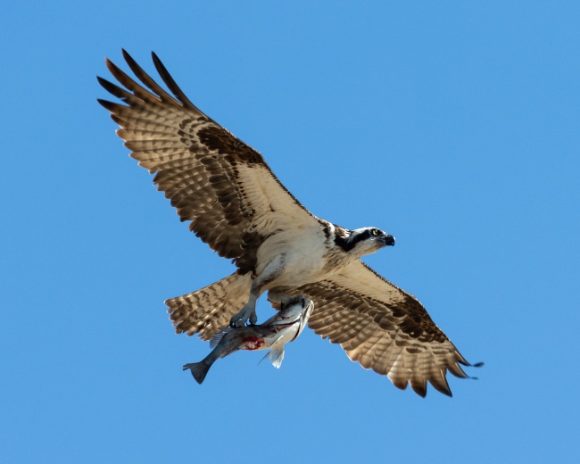 foto:jorge luis soto félix  - lo hecho en México