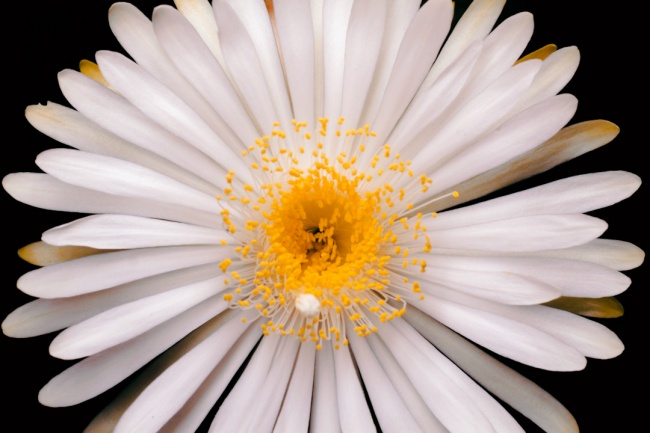 foto:María Fernanda Clemente Vega   - lo hecho en México