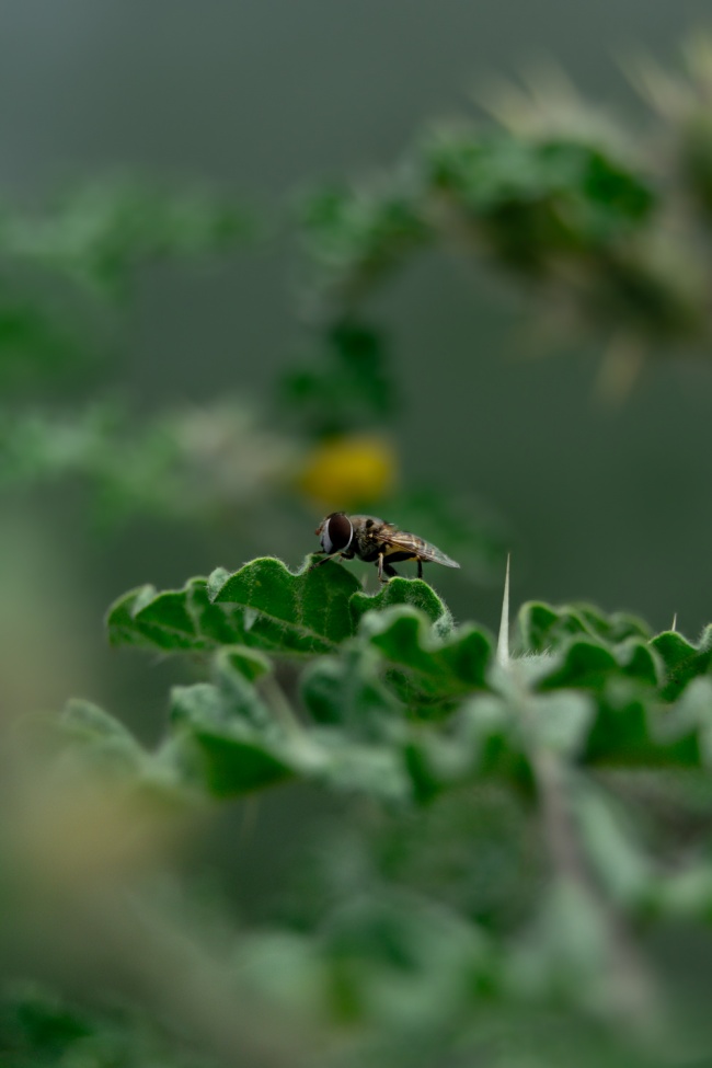foto:Rafael López González   - lo hecho en México