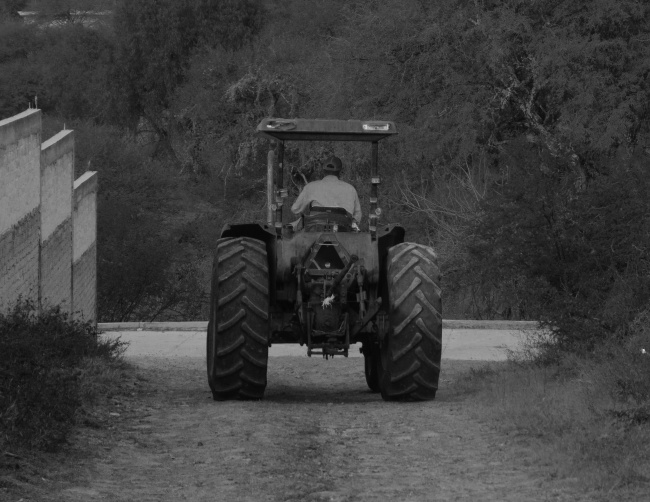 foto:Luis Josue Bedolla Cortes  - lo hecho en México