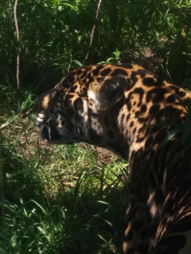 foto:Tiana Fernanda Martínez Lazcano   - lo hecho en México