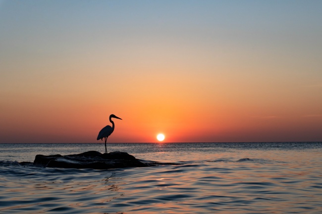 foto:Gerardo Cardón  - lo hecho en México