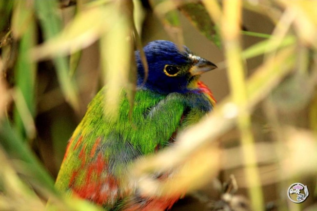 foto:Erasmo Rafael Valencia  - lo hecho en México