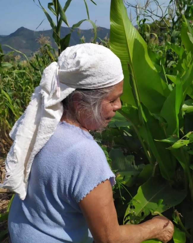foto:Marisol Rodriguez   - lo hecho en México